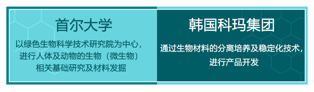 首尔大学.jpg